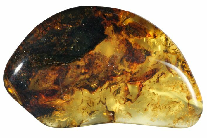 Polished Chiapas Amber ( g) - Mexico #114894